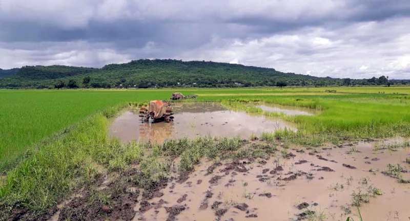 ငဖဲၿမိဳ႕နယ္ ဆည္မ်ားမွ စိုက္ပ်ိဳးေရ လံုေလာက္စြာ မရရွိသျဖင့္ လယ္သမားမ်ား အခက္ႀကံဳ