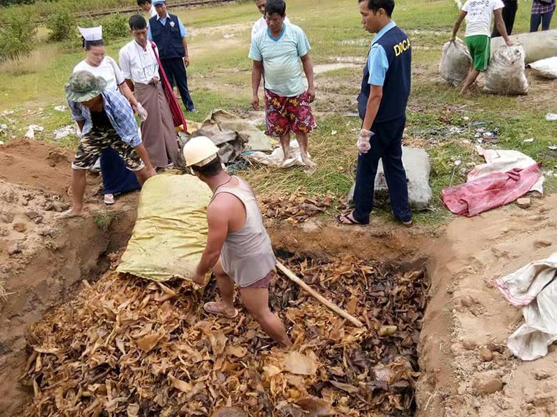 က်ဳိင္းတံုတြင္ တရား၀င္ေထာက္ခံခ်က္မရွိသည့္ ၀က္ေခါက္မ်ားအား မီး႐ိႈ႕ဖ်က္ဆီး