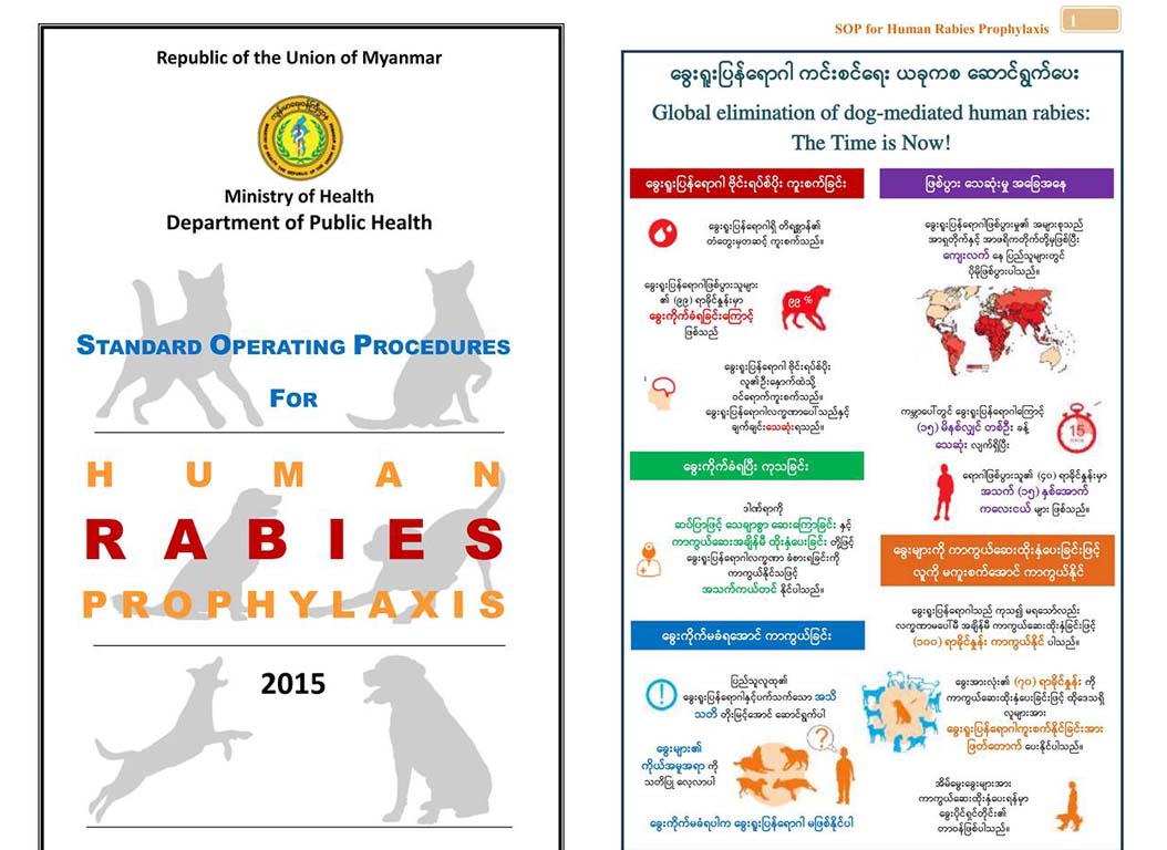ရန္ကုန္တြင္ ေခြးေလလြင့္ေခြးမ်ားတိုးပြားလာေနသျဖင့္ ေခြးရူးျပန္ေရာဂါသတိထားေစလို