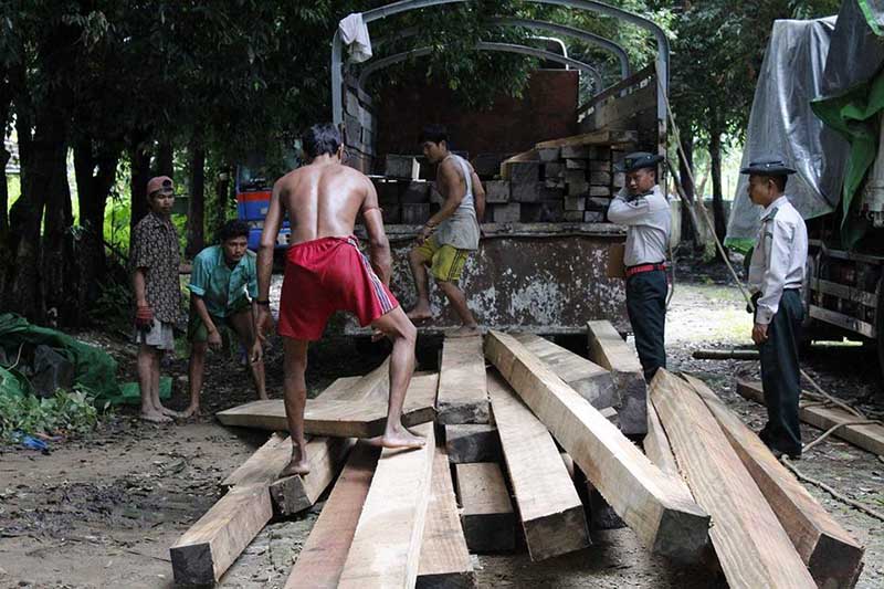 သထံုတြင္ တရားမဝင္သယ္ေဆာင္လာသည့္ သစ္မ်ား ဖမ္းမိ