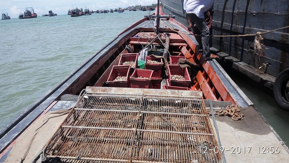 ၿမိတ္ကၽြန္းစုအတြင္း တရားမ၀င္ရွပ္ဆြဲေလွ ၁ စီးအား ျမန္မာ့ေရတပ္ ဖမ္းဆီး
