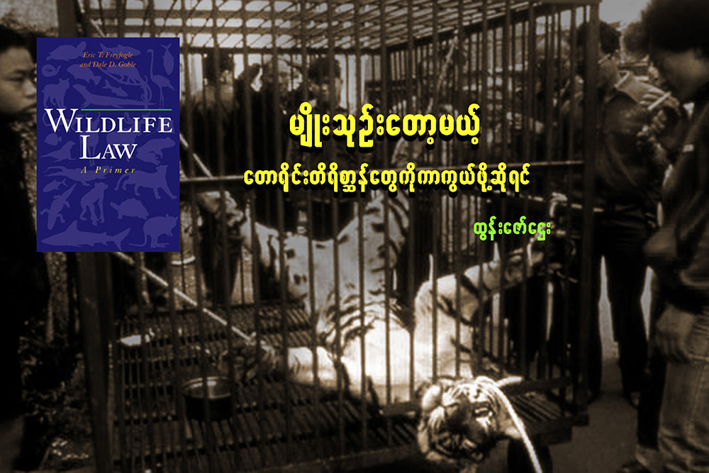 မ်ိဳးသုဥ္းေတာ့မယ့္ ေတာ႐ိုင္းတိရစာၦန္ေတြကို ကာကြယ္ဖို႔ဆိုရင္