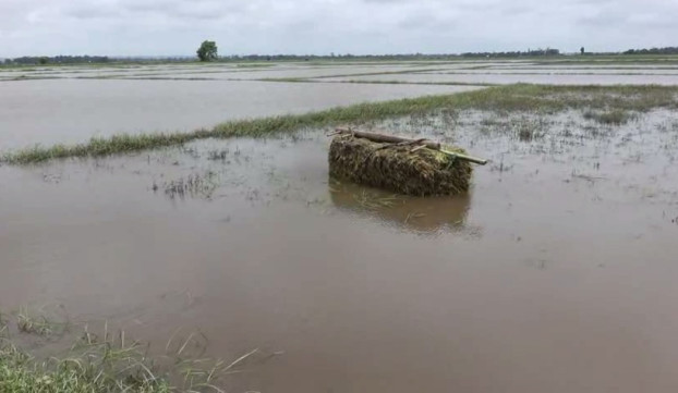 သဲကုန္းႏွင့္ေပါင္းတည္ၿမဳိ႕နယ္၌ ေတာင္ယာမ်ားေရနစ္ျမဳပ္ေန၍ ေခ်ာင္းတူးေဖာ္ေပးရန္ေတာင္းဆို