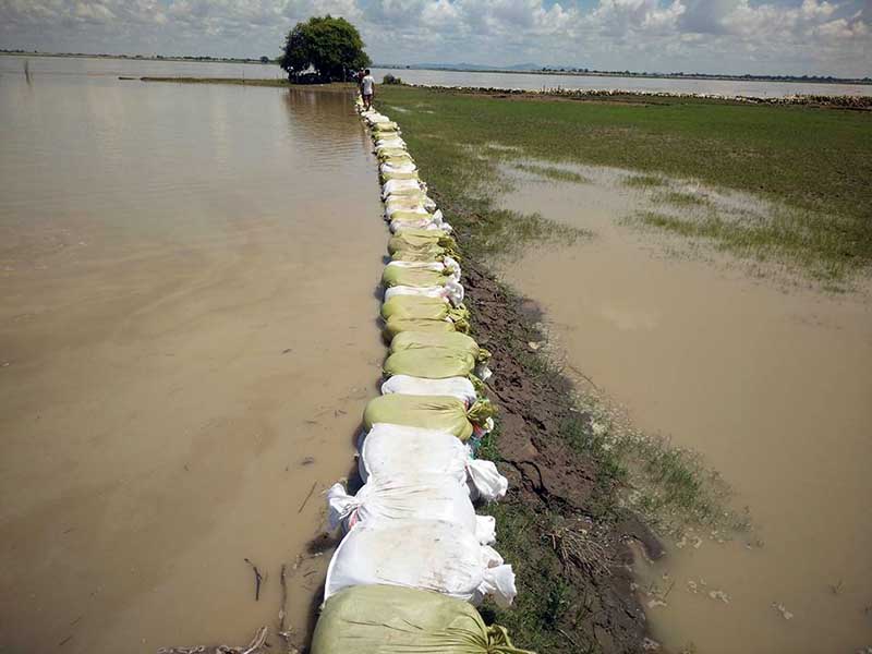 ေရစႀကိဳတြင္ ျမစ္ေရျမင့္တက္၊ စုိက္ပ်ဳိးဧကေထာင္ခ်ီ ေရနစ္ျမဳပ္ႏုိင္
