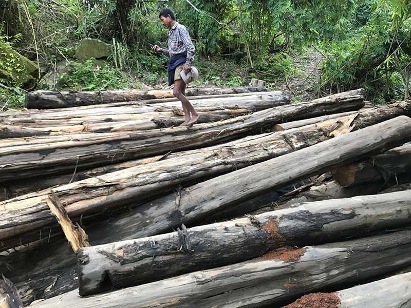အင္းေတာ္ၿမိဳ႕နယ္တြင္ တရားမဝင္သစ္စက္ႏွင့္ ကၽြန္းသစ္လံုး ၅၇ လံုးဖမ္းမိ