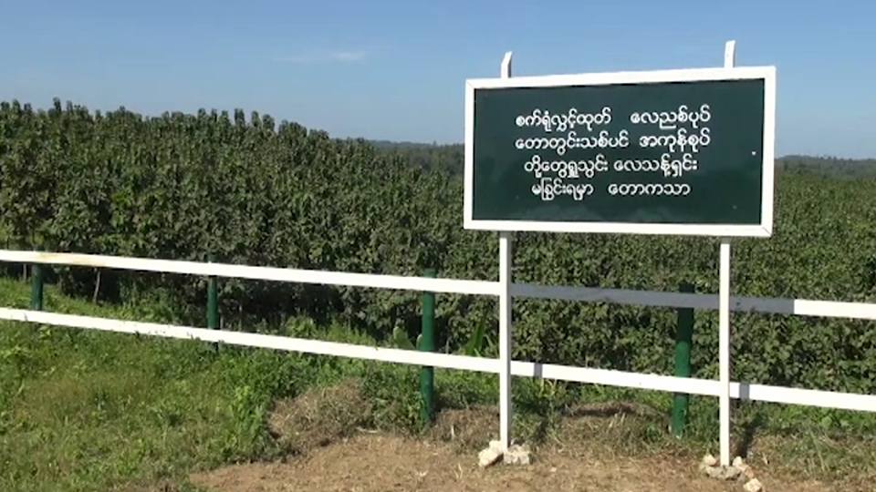 သစ္ေတာဧရိယာအတြင္း တည္ေဆာက္မည့္ စီမံကိန္းမ်ားကို သစ္ေတာအရည္ေသြးနိမ့္က်သည့္ ေနရာ၌သာ ခြင့္ျပဳမည္