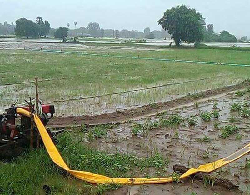 မံုရြာတြင္ မိုးသည္းထန္စြာရြာသြင္းမႈေၾကာင့္ ၾကက္သြန္ခင္းမ်ား ေရနစ္ျမဳပ္ပ်က္စီး