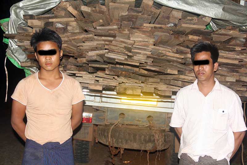 ေညာင္ေလးပင္ၿမိဳ႕တြင္ တရားမဝင္ သစ္ခြဲသားမ်ား ဖမ္းဆီးရမိ