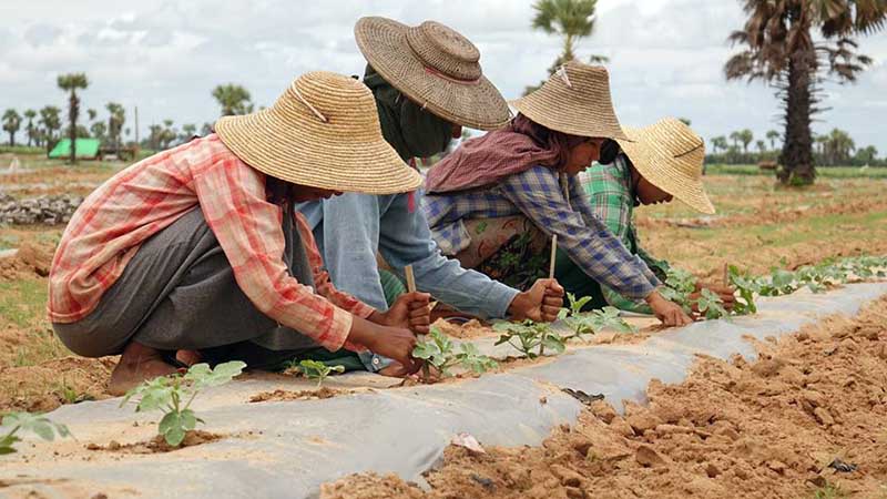 စစ္ကိုင္းတိုင္းတြင္ စုိက္စရိတ္ေခ်းေငြ ျပန္ဆပ္ရန္ က်ပ္သိန္း ၅၀၀၀ ေက်ာ္ က်န္ရွိေန
