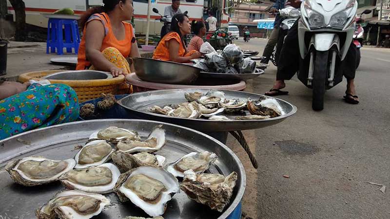 ၿမိတ္ကြ်န္းစုေဒသထြက္ ကမာေကာင္မ်ား ထိုင္းေစ်းကြက္အထိ တင္ပို႔မႈရွိလာ