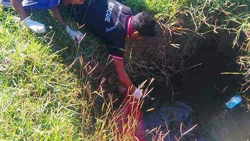 ဘီးလင္းၿမိဳ႕တြင္ အမ်ဳိးသမီးတဦး ေရတြင္းထဲျပဳတ္က် ေသဆံုး