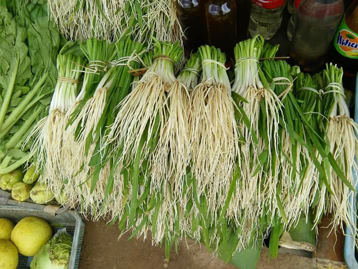 ျပည္တြင္းဂ်ဴးျမစ္မ်ား အရည္အေသြးနိမ့္က်သျဖင့္ ကိုရီယားသို႔ တင္ပို႔မႈ ရပ္ဆိုင္း