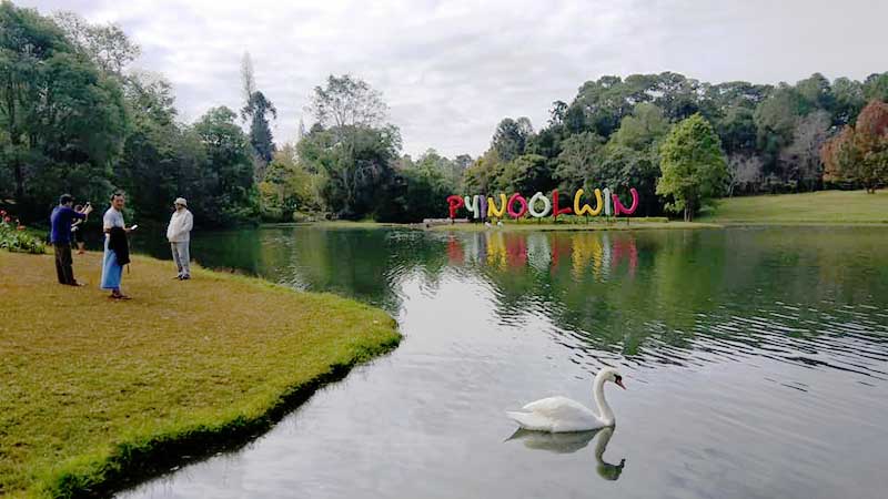 ျပင္ဦးလြင္ ပန္းပြဲေတာ္အတြက္ျပင္ဆင္  (ဓာတ္ပုံ)