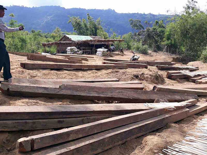 ပဲခူး႐ိုးမအတြင္​း တရားမဝင္​သစ္​ခြဲသားမ်ိဳးစုံ တန္ ၇၀ ဝန္​းက်င္​ ဖမ္​းမိ