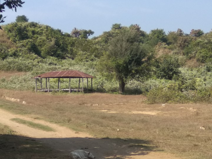 အင္းဒင္ေက်းရြာသုသာန္၌  ႐ုပ္အေလာင္းမ်ားအား စတင္တူးေဖာ္