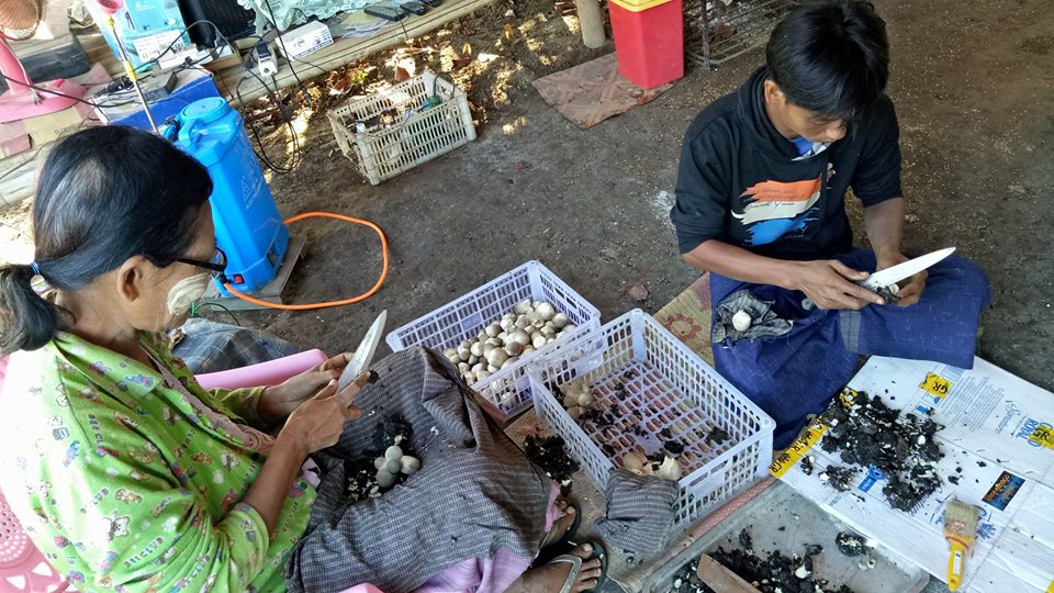 သထုံမိႈေစ်းကြက္ ျပည္ပတင္ပုိ႔ႏုိင္ေရး ေထာက္ပံ့ကူညီမႈမ်ား လုိအပ္ေန