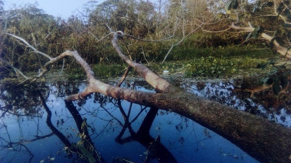 ေက်းရြာ ၆ ရြာ မွီခိုေနသည့္ ေရကန္ေနရာကို ပုံစံ(၇)ထုတ္ေပးသျဖင့္ ေဒသခံမ်ားကန္႔ကြက္
