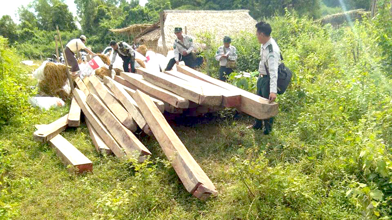 ျဖဴးၿမိဳ႕နယ္တြင္ တရားမဝင္ သစ္ခိုးထုတ္မႈ ပိုမိုမ်ားျပားလာ