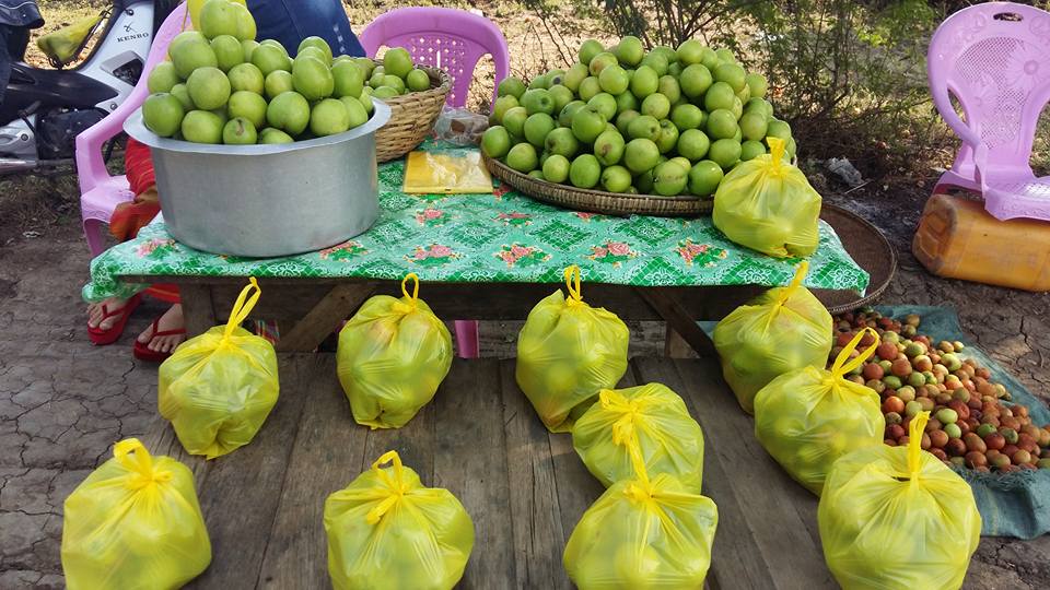 တ႐ုတ္​ဆီးသီးမ်ား ရာသီဥတု​ ေဖာက္​ျပန္​မႈ​ေၾကာင့္ အထြက္​ႏႈန္​းက်ဆင္း