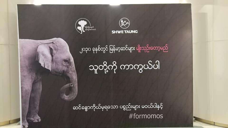 ျမန္မာ့ေတာဆင္႐ိုင္းမ်ား ကယ္တင္ရန္လႈပ္ရွားမႈျပဳလုပ္