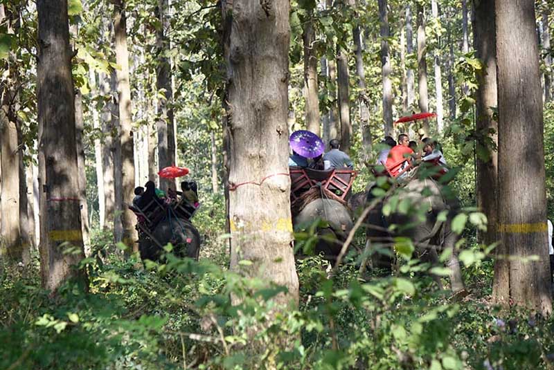 ဘရမ္နစ္ကၽြန္းေတာႀကီးကို ဆင္စီးအပန္းေျဖစခန္းအျဖစ္ ဖြင့္လွစ္