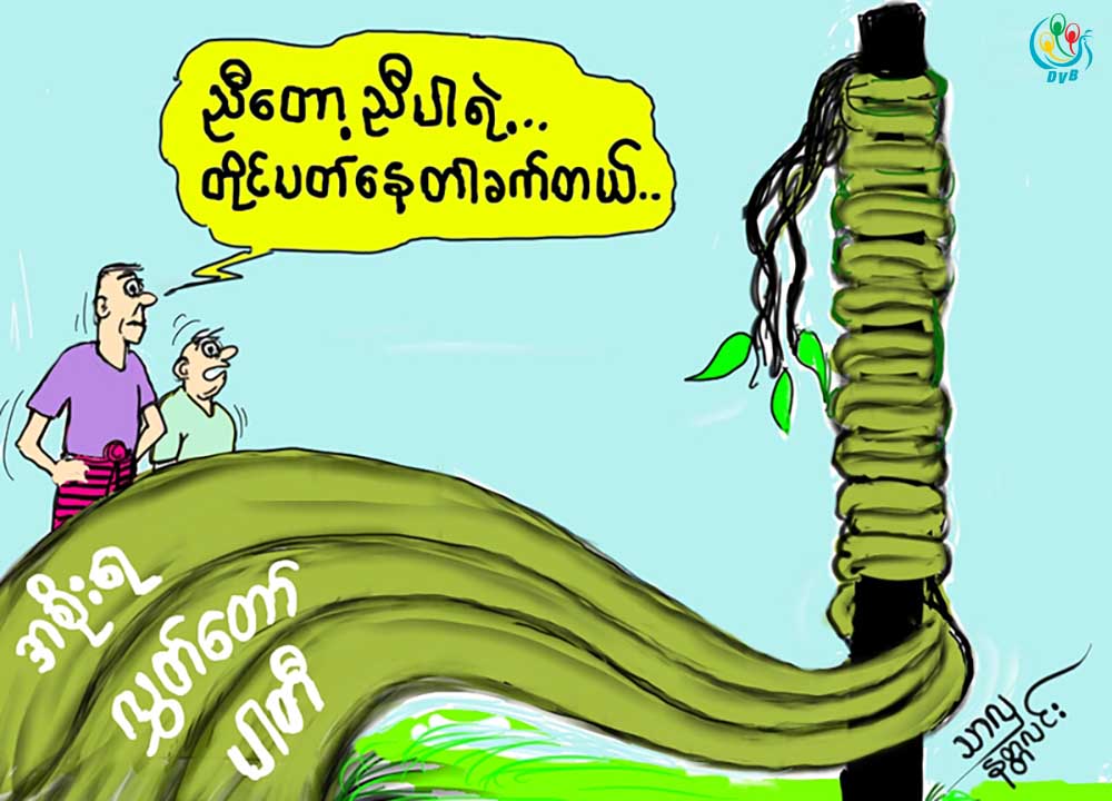 ကာတြန္း - သာလွ(နတၱလင္း)