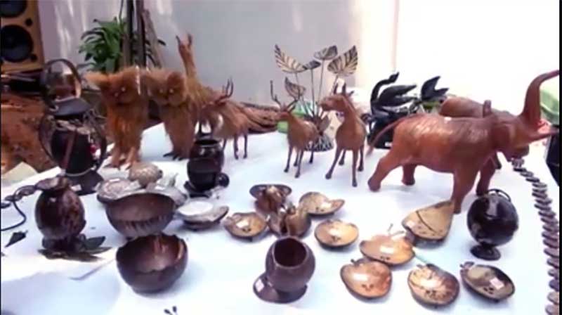 ၿမိတ္ကြ်န္းစု ေဒသခံမ်ားကို စြန္႔ပစ္အုန္းခြံမွ လူသံုးပစၥည္း ထုတ္လုပ္မႈသင္တန္း ပို႔ခ်(႐ုပ္သံ)