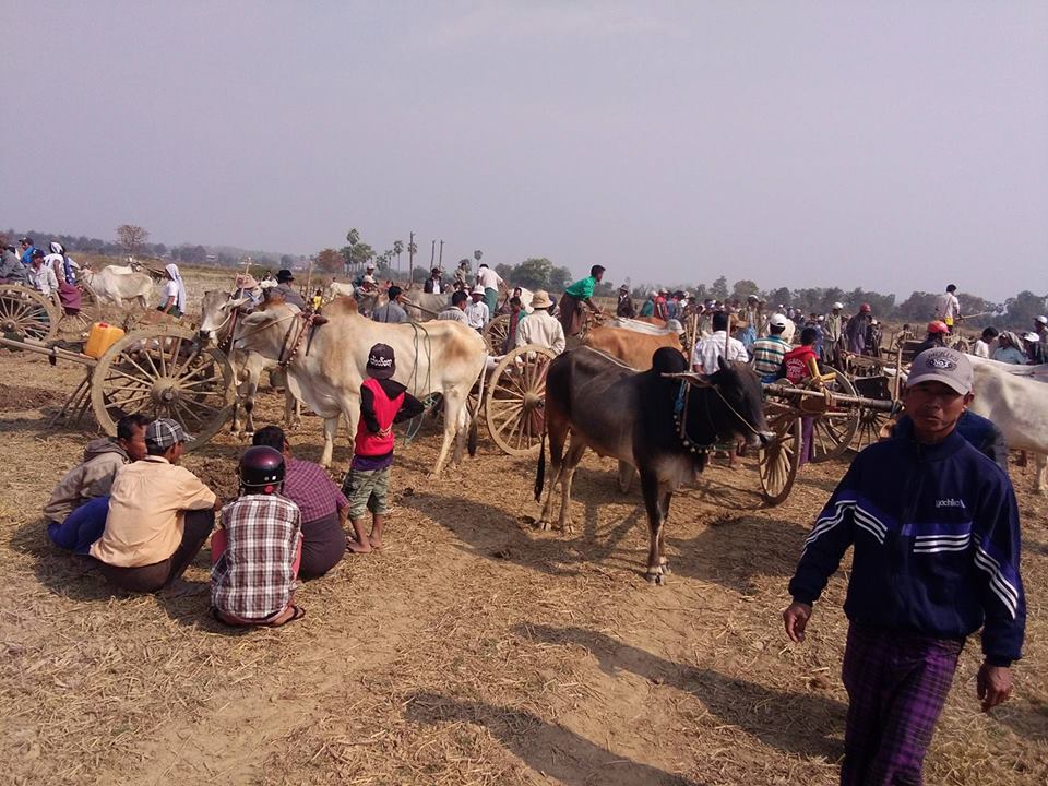 ဂန္႔ေဂါနယ္က  ေယာဓေလ့လွည္းယာဥ္ေၾကာ့ၿပိဳင္ပဲြ (႐ုပ္သံ)