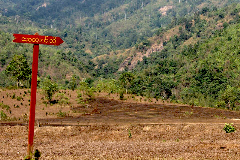 ေဆးေတာင္ ေတာ႐ိုင္းတိရစာၦန္ ေဘးမဲ့ေတာ တည္ေထာင္မည္