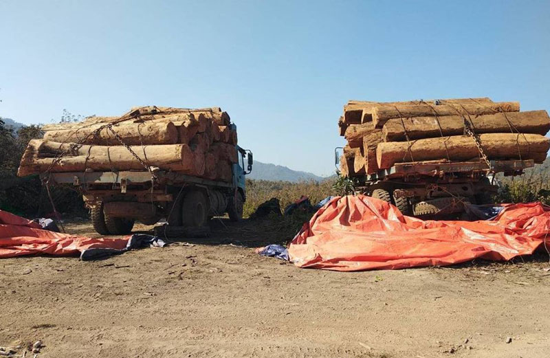 ၆ ဘီးယာဥ္ ၁၀ စီးေပၚမွ တရားမဝင္သစ္မ်ား သိမ္းဆည္းမိ