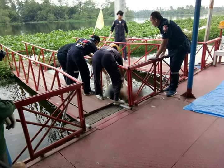ဘိန္းစာရြက္၀င္ခူးသူ ျမန္မာလုပ္သားတစ္ဦး ႀကိဳးတုတ္ၿပီး နဖူးကိုေသနတ္ျဖင့္ ပစ္သတ္ခံရ