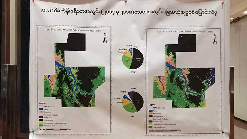 ဆီအုန္းစုိက္ဧက ၁၉ သိန္းေက်ာ္ထဲမွ ၅ သိန္းေက်ာ္သာ အေကာင္ထည္ေဖာ္ႏုိင္
