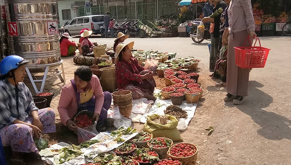 ႐ွမ္​းျပည္​​နယ္ထြက္​ စ​ေတာ္​ဘယ္​ရီသီးမ်ား ​ေစ်းက်သျဖင့္ ​​ေတာင္သူ​မ်ား အခက္​ႀကံဳ