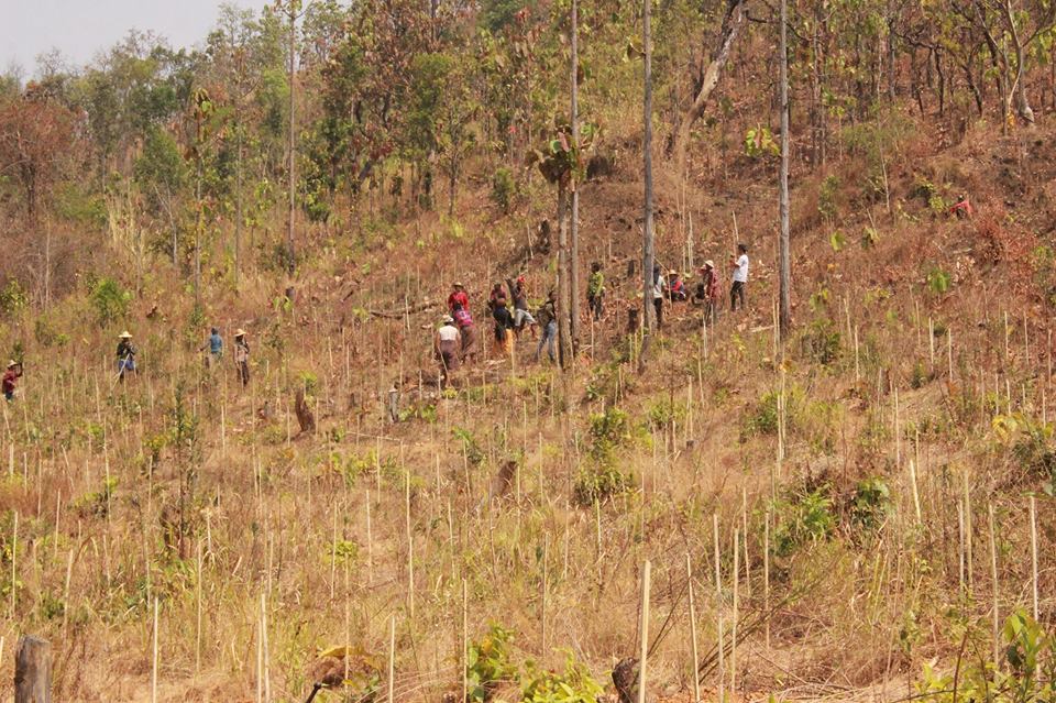 စိုက္​ပ်ိဳး​ယာခင္​းမ်ား သစ္​​ေတာႀကိဳးဝိုင္​​းထဲပါ​ေနလို႔ ​​ေတာင္​သူမ်ား အခက္​​ေတြ႔