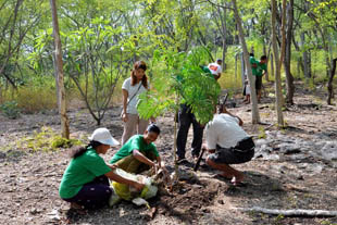 ကမၻာ့ပတ္၀န္းက်င္ေန ့သစ္ပင္စိုက္ပြဲ ျမန္မာျပည္အနွံ ့က်င္းပ