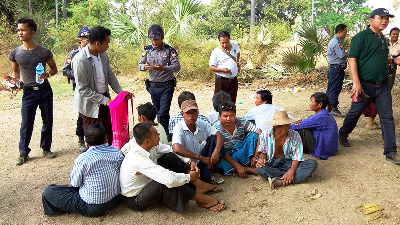 ဆားလင္းႀကီးၿမိဳ႕နယ္တြင္ ၾကက္ဝိုင္းကို တုိင္းရဲတပ္ဖဲြ႔ ဝင္ေရာက္ဖမ္းဆီး