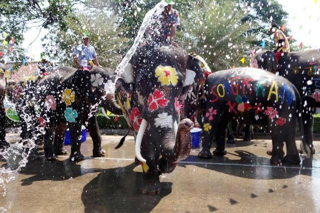 လူႏွင့္ဆင္ အတူဆင္ႏႊဲသည့္ ထိုင္း႐ုိးရာသႀကၤန္ပြဲေတာ္ စတင္က်င္းပ (႐ုပ္သံ)