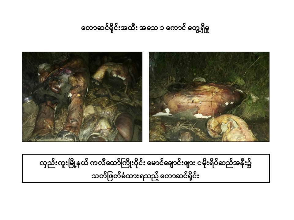 အေရခြံခြာၿပီး ၃ ပုိင္း ပုိင္းထားသည့္ ေတာဆင္႐ုိင္းတေကာင္ ေတြ႔ရွိ
