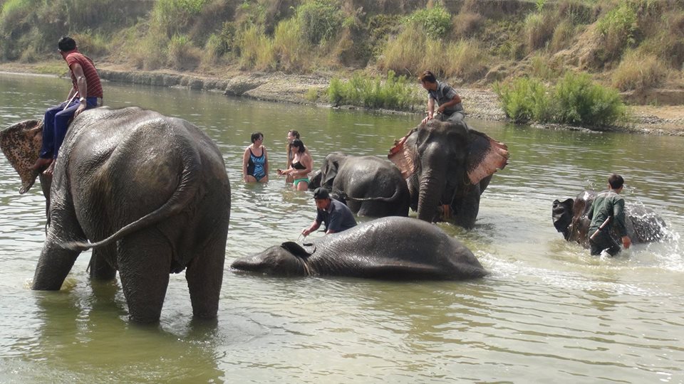 ငပလီဆင္ေဘးမဲ့စခန္း ျပည္တြင္းျပည္ပ လာေရာက္လည္ပတ္မႈ ယခင္ႏွစ္ကထက္မ်ားျပား