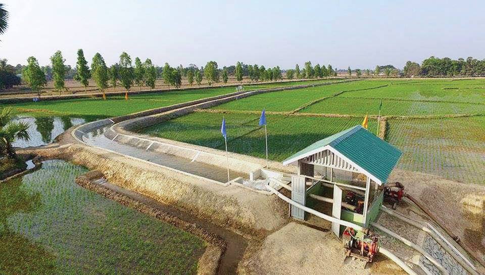 အန္အယ္လ္ဒီအစိုးရလက္ထက္ ဆန္စပါးႏွင့္ သားငါးထုတ္လုပ္တင္ပို႔မႈ စံခ်ိန္တင္တိုးတက္လာ