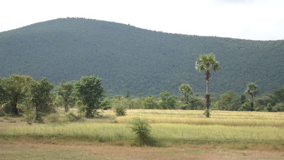 စစ္ကိုင္းတုိင္းအတြင္း စိုက္ပ်ိဳးစရိတ္ေခ်းေငြ က်ပ္သန္း ၉ ေသာငး္ေက်ာ္ ျပန္ဆပ္ရန္က်န္ရွိေန