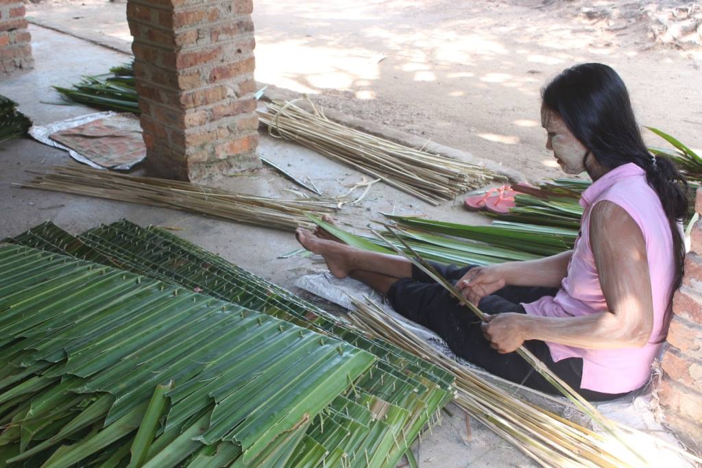 ၿမိတ္ မိ႐ုိးဖလာဓနိလုပ္ငန္း ဓနိေတာေတြ ျပဳန္းတီးလာ၍ ေဒသခံမ်ား အလုပ္လက္မဲ့ျဖစ္ေန