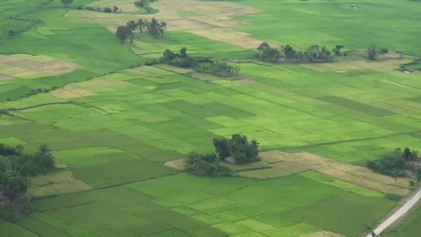 ေမာင္ေတာေဒသ ပုိင္ရွင္မဲ့လယ္ေျမဧက ၇ ေသာင္းေက်ာ္ ကုမၸဏီမ်ားကို လုပ္ခြင့္ေပးမည္