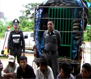 ဘန္ေကာက္ကုိ ခုိး၀င္မည့္ ျမန္မာနုိင္ငံသား ၃၀ ဖမ္းဆီးခံရ