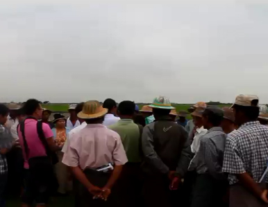 ကုမၸဏီနွင့္အက်ဳိးတူလုပ္ေဆာင္သည့္ လယ္သမားမ်ား နစ္နာဆုံး႐ႈံးေန