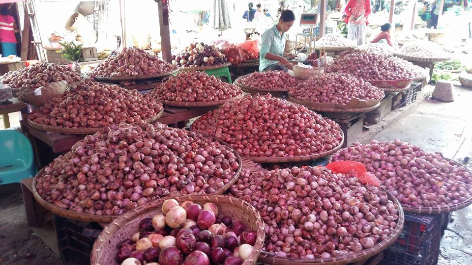 ျမင္​းၿခံတြင္​ ၾကက္​သြန္​နီ​ေစ်းႏႈန္းမ်ား ဆက္​တုိက္​က်ဆင္​း​ေန၊ ေတာင္သူမ်ား အ႐ႈံးေပၚ