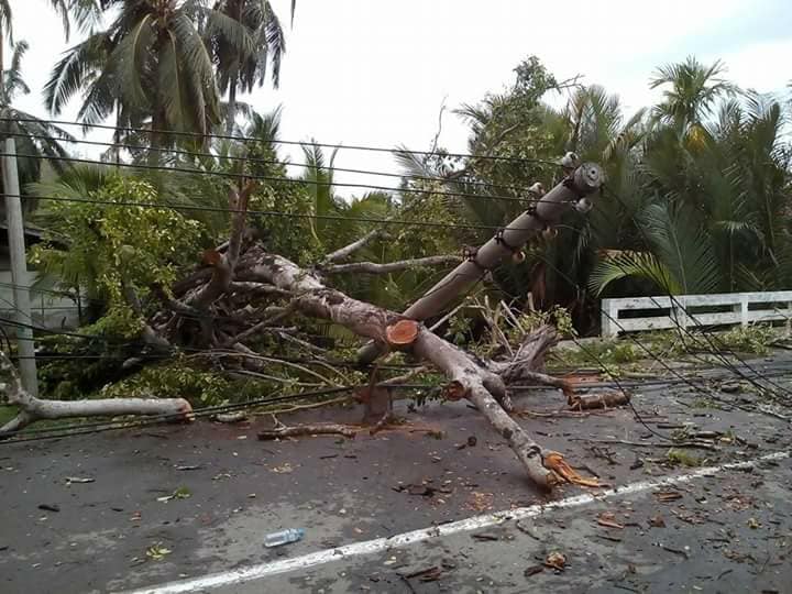 မုန္တိုင္းေၾကာင့္ သံတြဲၿမိဳ႕နယ္တြင္ ႀကိဳးဖုန္းလိုင္းႏွင့္လွ်ပ္စစ္မီးတိုင္မ်ား ၿပိဳလဲပ်က္စီး