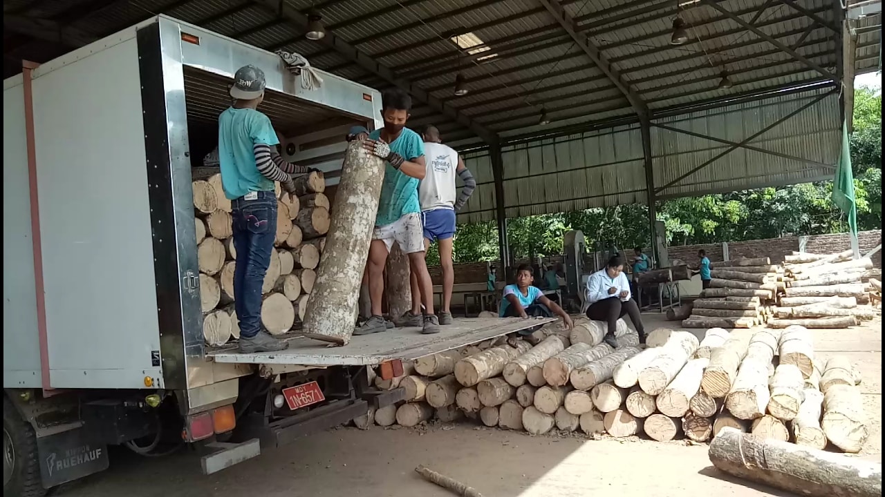 ရာဘာသစ္မ်ား ျပည္ပတင္ပို႔ေရာင္းခ်ေငြ ကန္ေဒၚလာ ၉ သန္းေက်ာ္ရရွိ