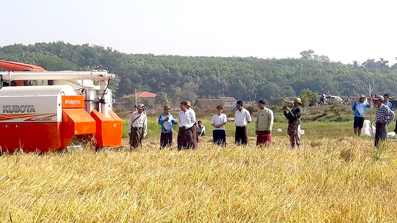 ေရးၿမိဳ႕နယ္တြင္ ဘက္စံုအဆင့္ျမင့္နည္းပညာသံုး စံျပေက်းရြာ အေကာင္အထည္ေဖာ္ေန