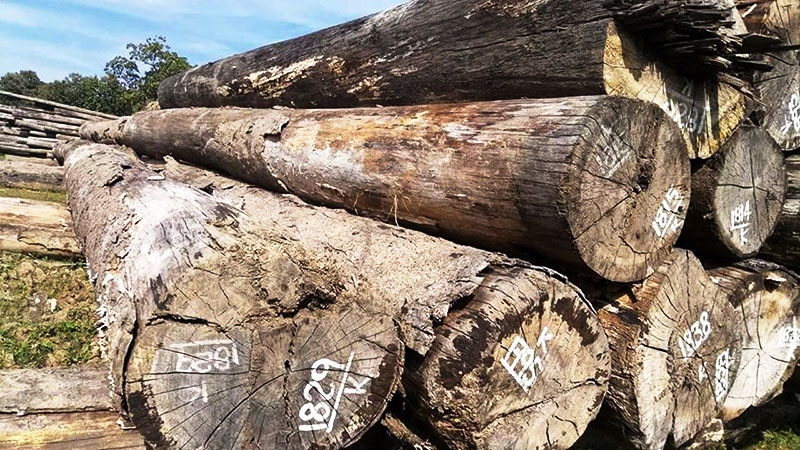 ဖမ္းဆီးသစ္ေလလံ ကေလးေဒသလုပ္ငန္းရွင္မ်ားကို ဦးစားေပးခ်ေပးရန္ ေတာင္းဆုိ